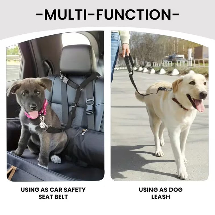 Car Safety Seat Belt