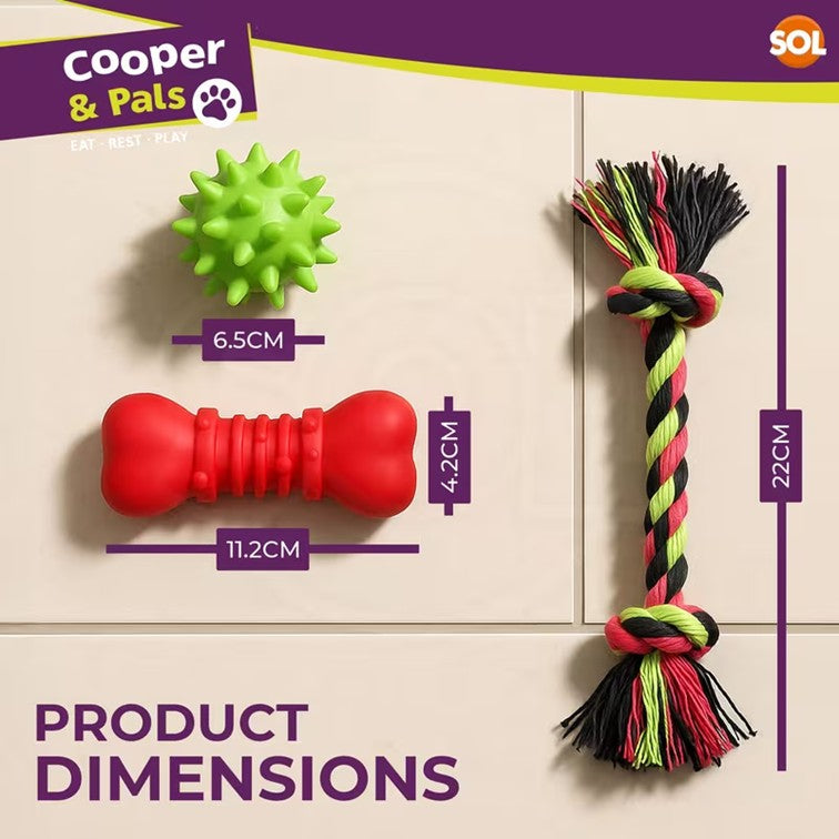 Toy Set (Pack of 3)