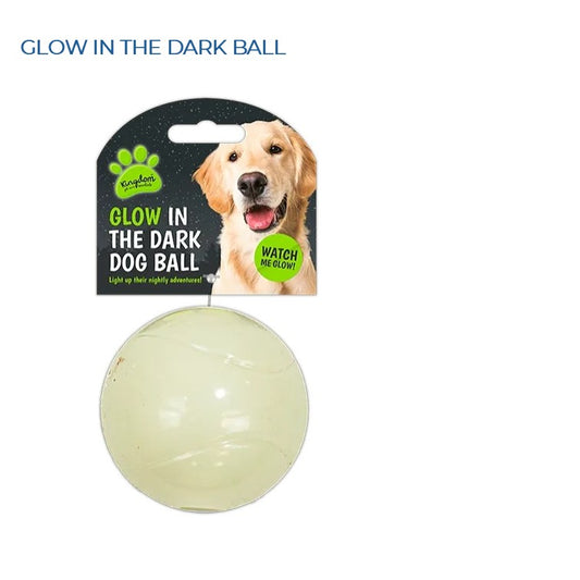 GLOW IN THE DARK BALL