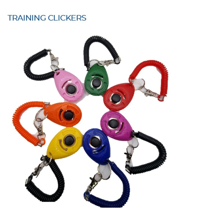 TRAINING CLICKER