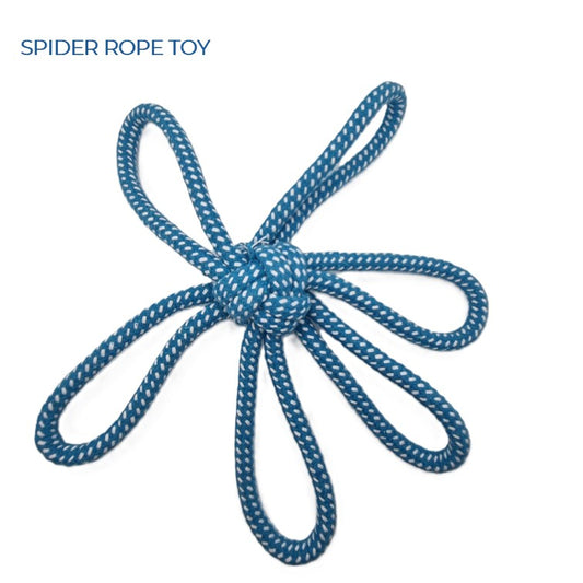 SPIDER ROPE TOY