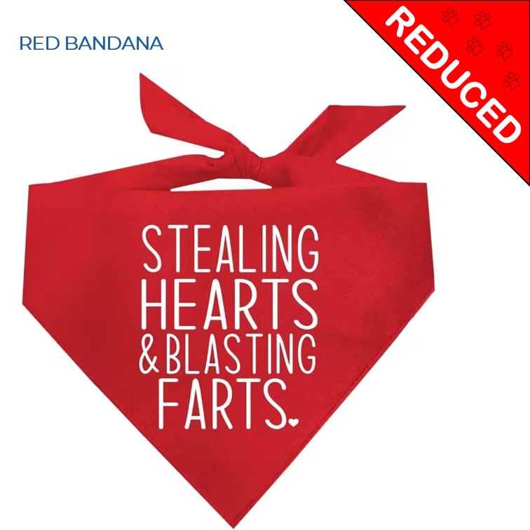 HEARTS AND FARTS BANDANA (WAS £3 - NOW £2.00)