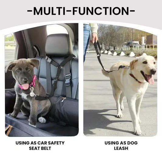 Car Safety Seat Belt