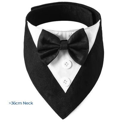 Tux & Bow Tie Collar (WAS £3 - NOW £2.00)