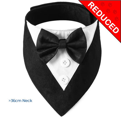 Tux & Bow Tie Collar (WAS £3 - NOW £2.00)