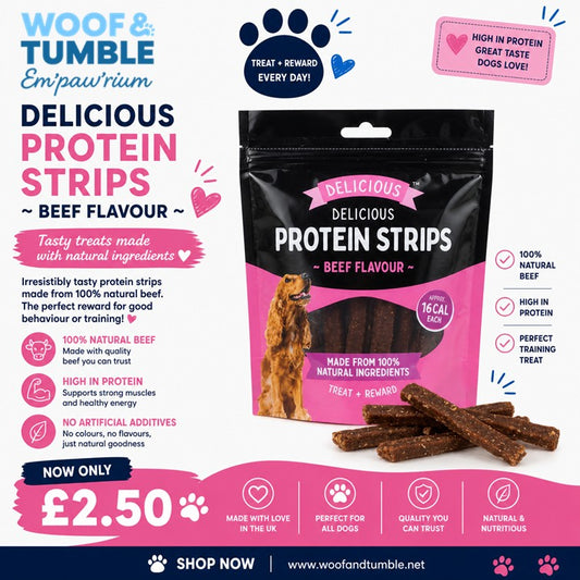 Protein Strips - Beef Flavour