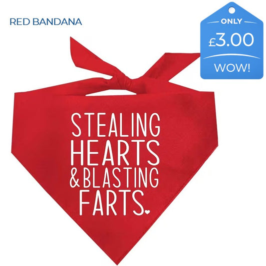 HEARTS AND FARTS BANDANA
