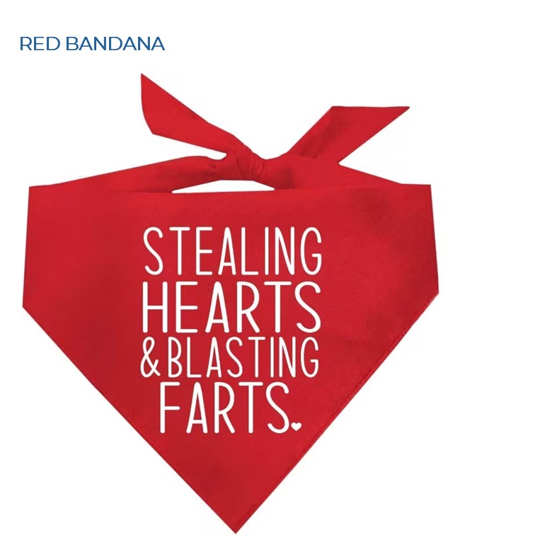 HEARTS AND FARTS BANDANA (WAS £3 - NOW £2.00)