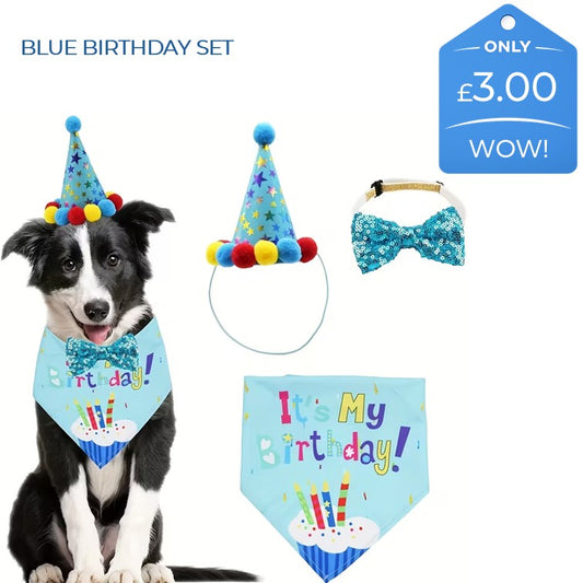 BIRTHDAY DRESS UP (BLUE OR PINK)