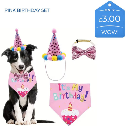 BIRTHDAY DRESS UP (BLUE OR PINK)