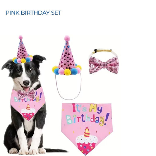 BIRTHDAY DRESS UP (BLUE OR PINK)