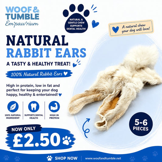 RABBIT EARS